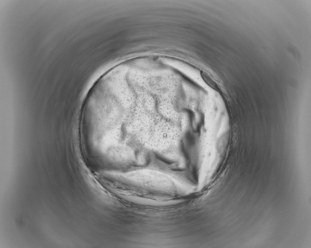 X0000111001530200907171802