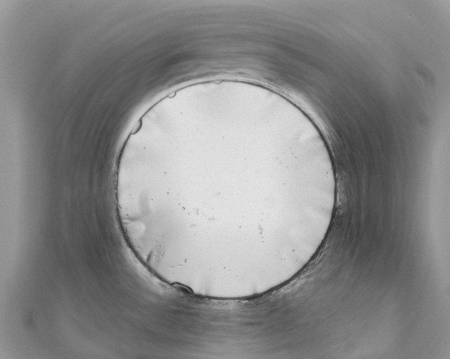 X0000111001532200907171802