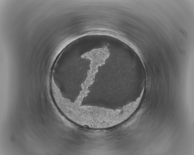 X0000111001533200907171802