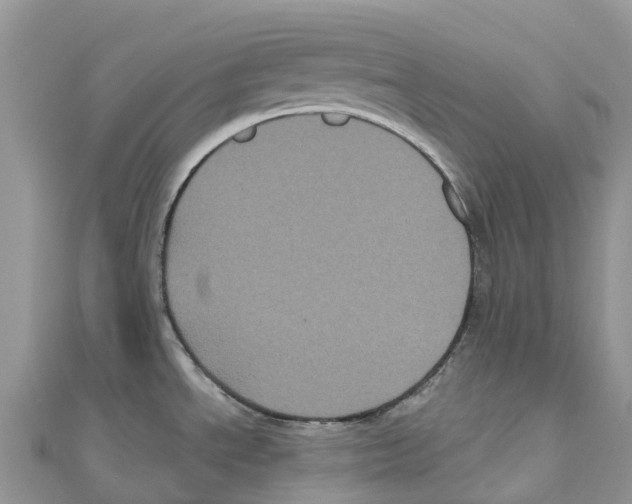 X0000111001534200907171802