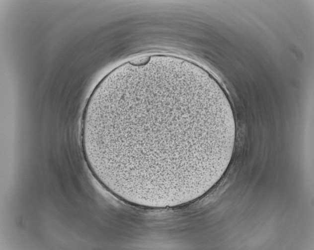 X0000111001535200907171802