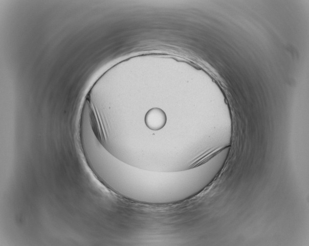 X0000111001536200907171802