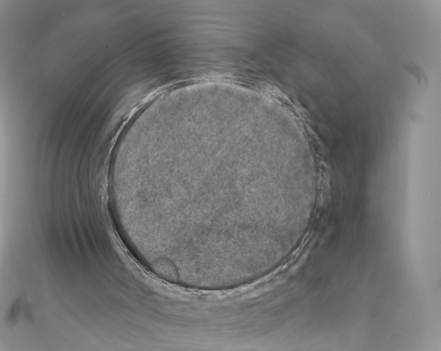 X0000111000002200907311040