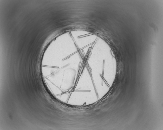 X0000111000004200907311040