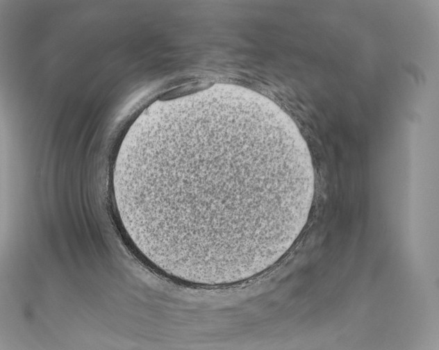 X0000111000005200907311040