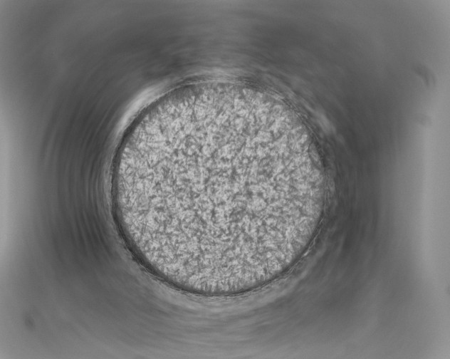 X0000111000006200907311040