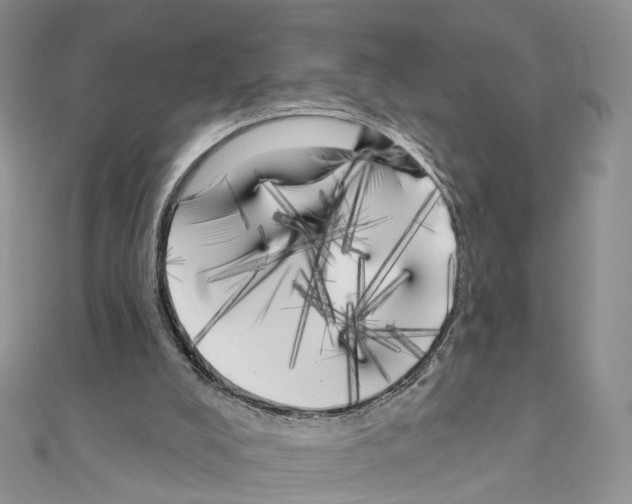 X0000111000008200907311040