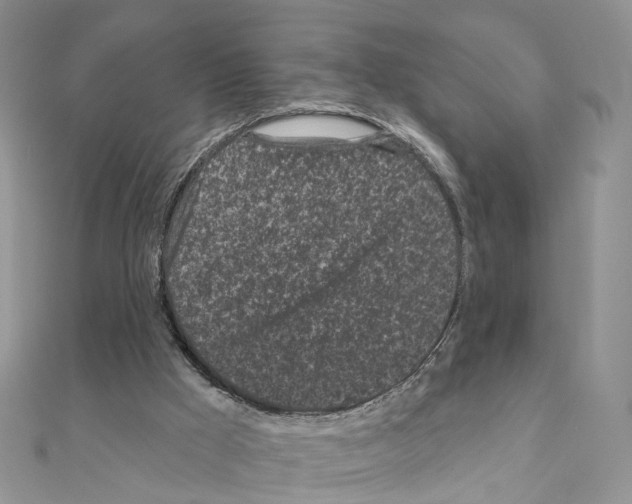 X0000111000009200907311040