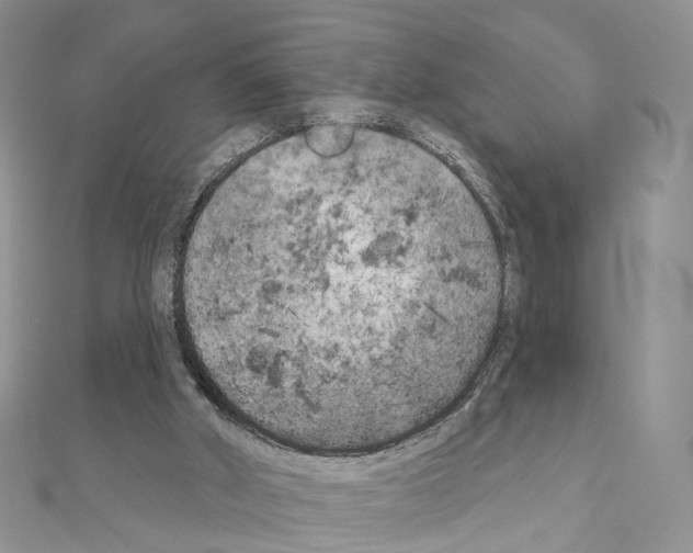 X0000111000010200907311040