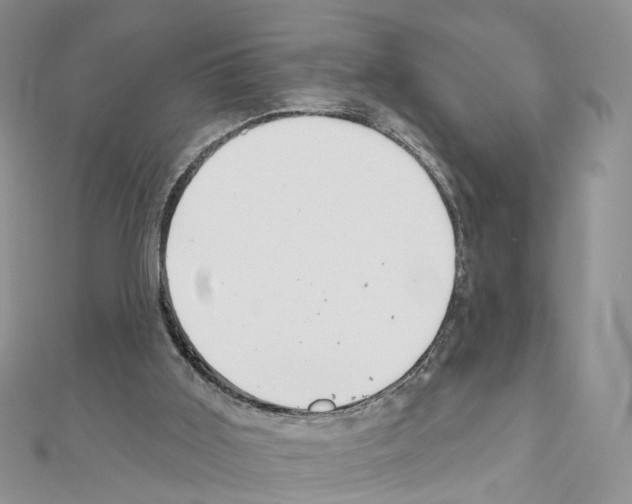 X0000111000011200907311040