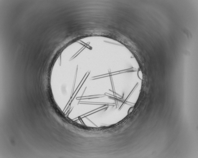 X0000111000012200907311040