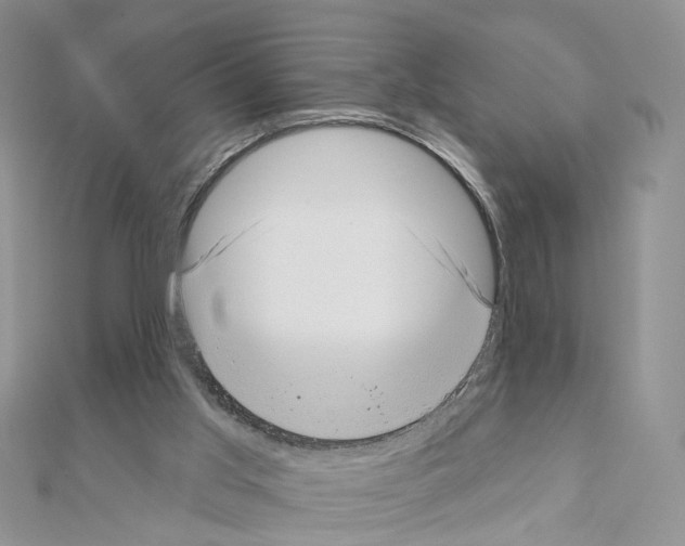 X0000111000013200907311040