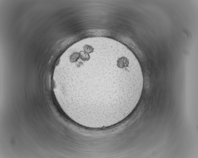 X0000111000014200907311040