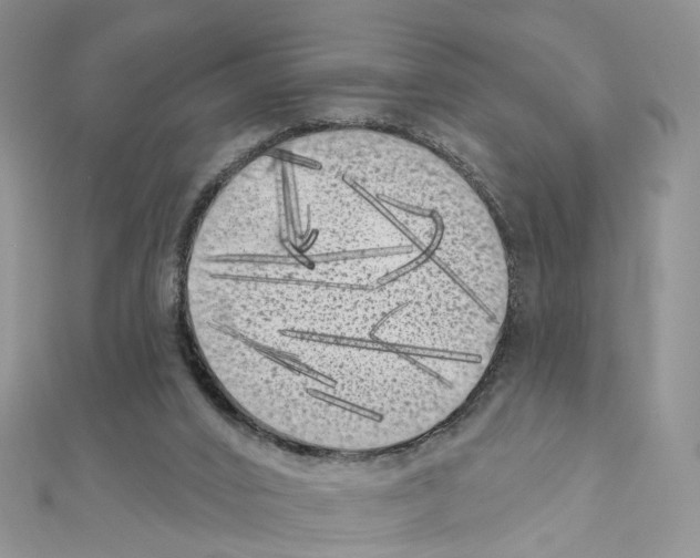 X0000111000016200907311040