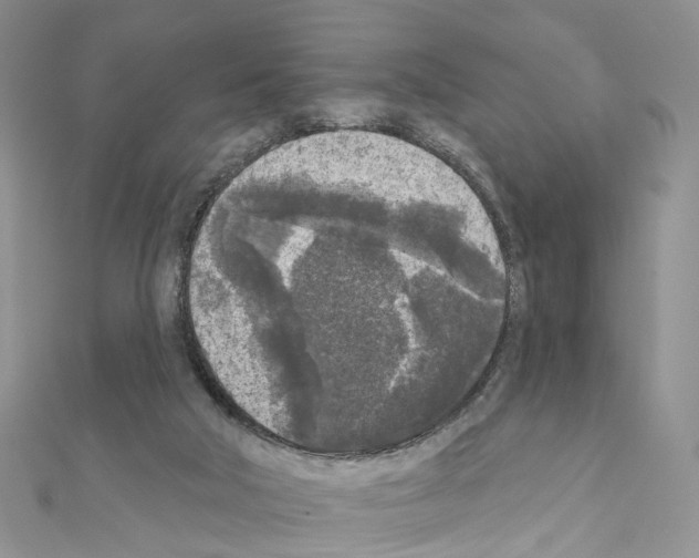 X0000111000018200907311040