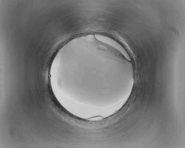 X0000111000019200907311040