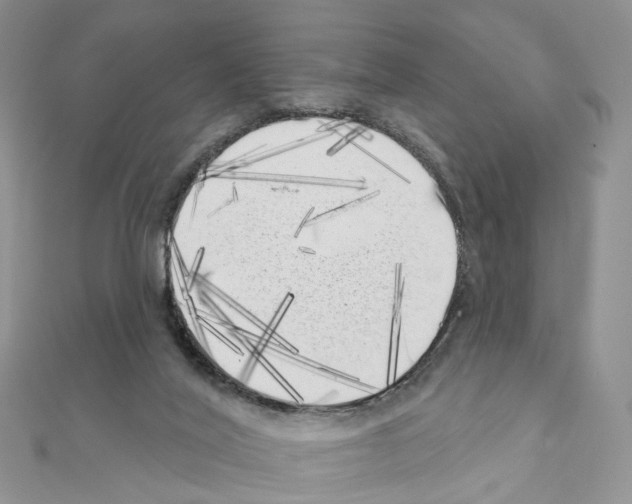 X0000111000020200907311040