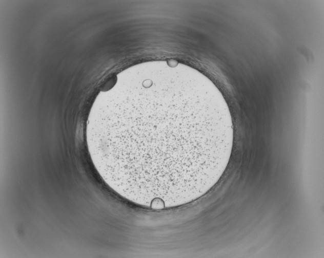 X0000111000021200907311040