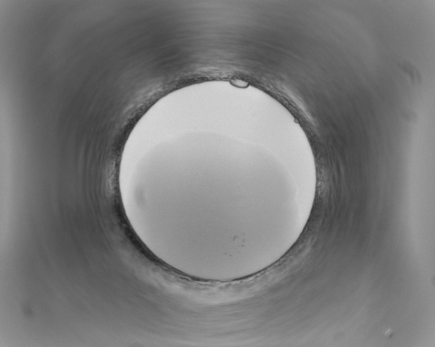 X0000111000023200907311040