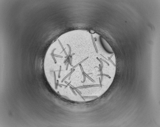 X0000111000024200907311040