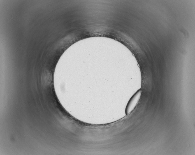 X0000111000025200907311040