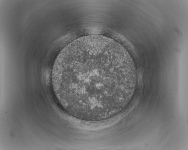 X0000111000026200907311040