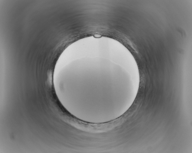 X0000111000027200907311040