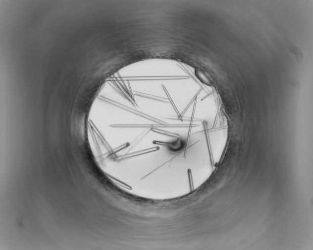 X0000111000028200907311040