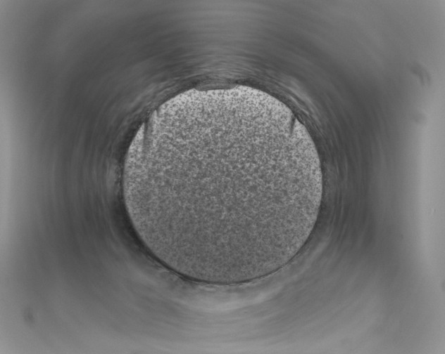 X0000111000029200907311040