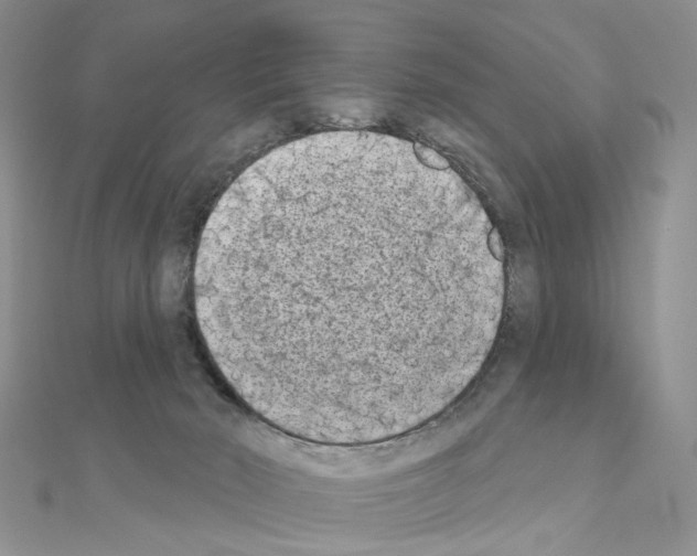 X0000111000030200907311040