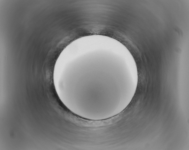 X0000111000031200907311040