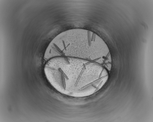 X0000111000032200907311040