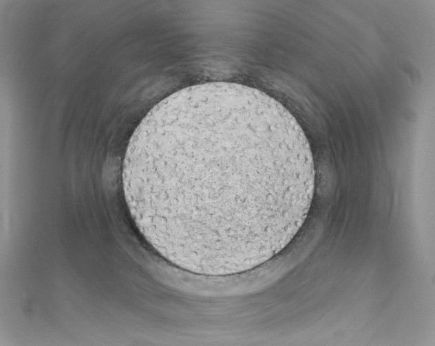 X0000111000034200907311040