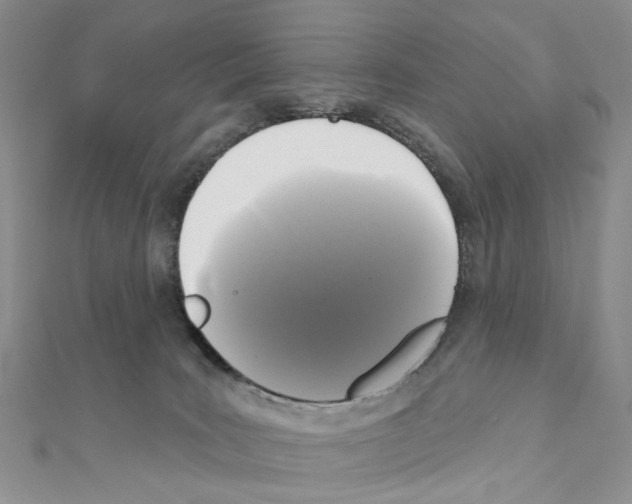 X0000111000035200907311040