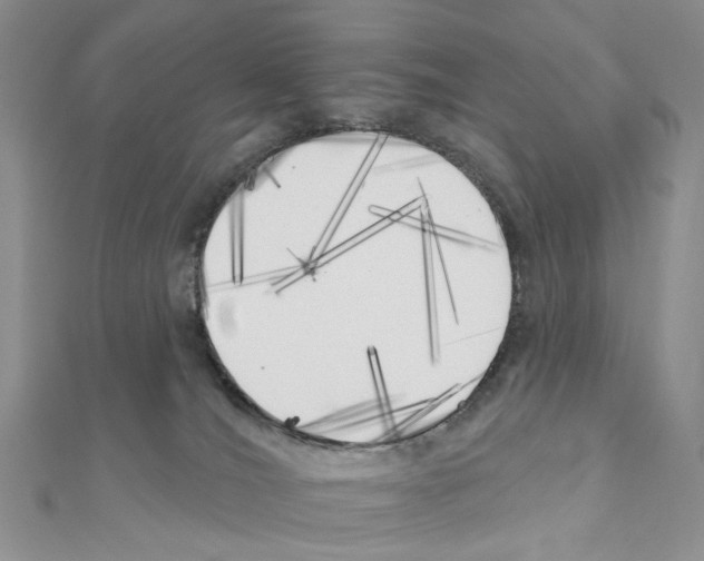 X0000111000036200907311040