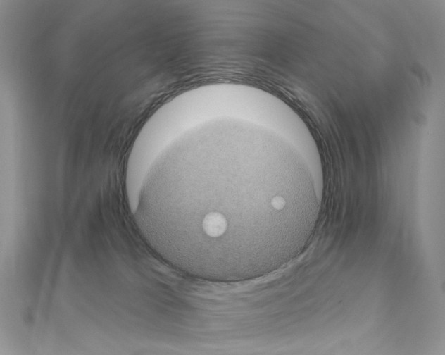 X0000111000037200907311040