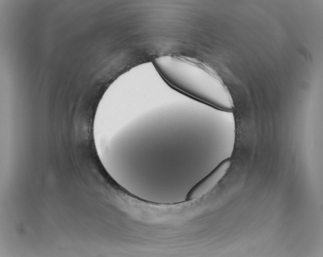 X0000111000039200907311040