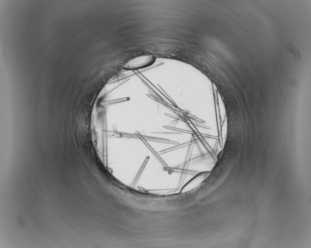 X0000111000040200907311040