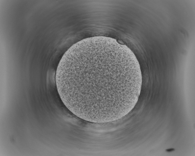 X0000111000041200907311040