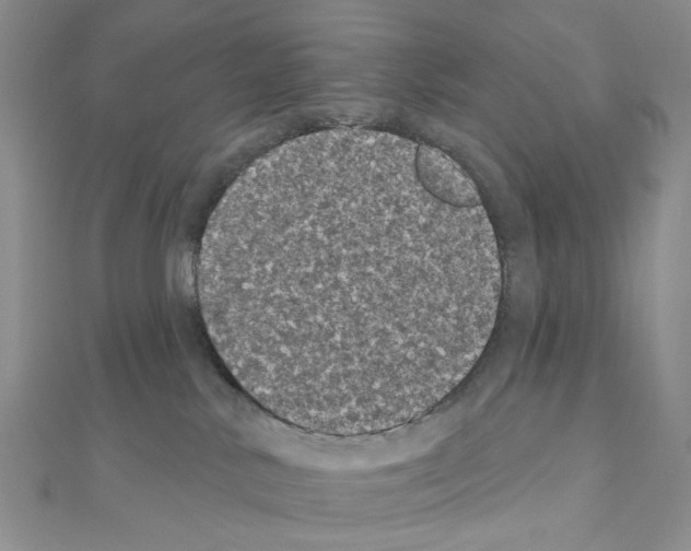 X0000111000042200907311040