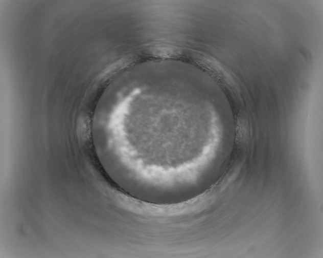 X0000111000043200907311040