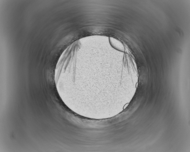 X0000111000044200907311040