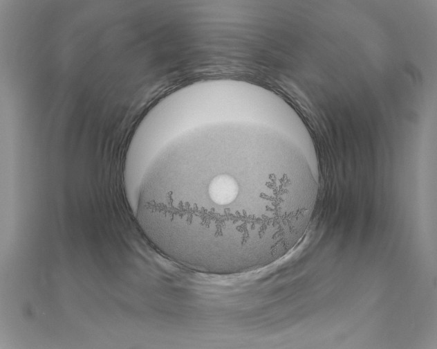 X0000111000045200907311040