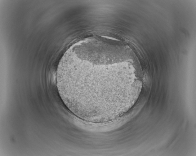 X0000111000046200907311040