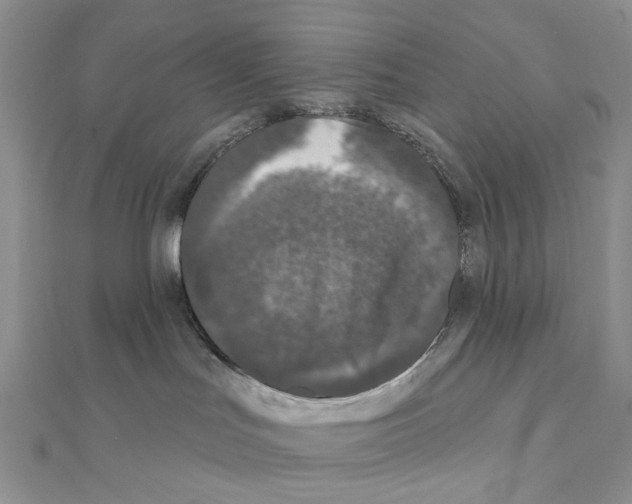 X0000111000047200907311040