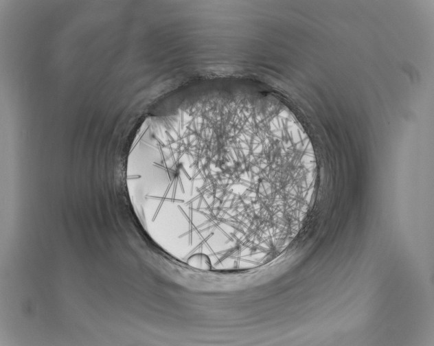 X0000111000048200907311040