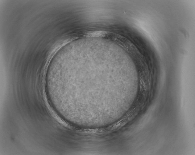 X0000111000049200907311039