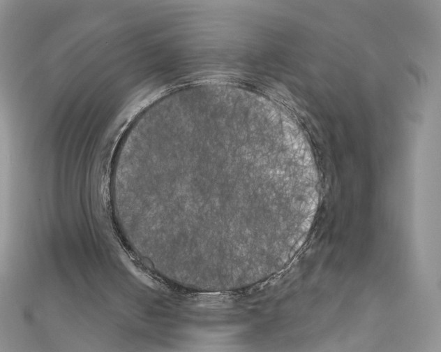 X0000111000050200907311039