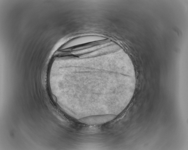 X0000111000056200907311039