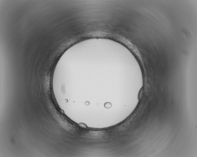 X0000111000057200907311039